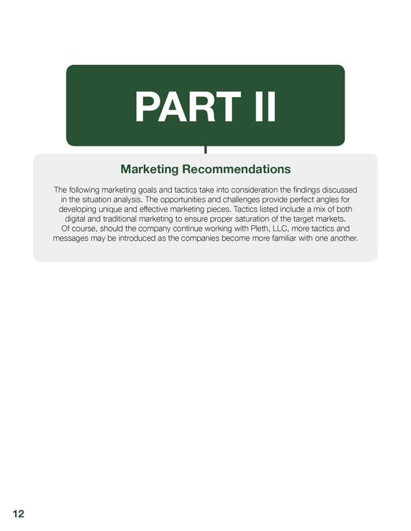 Marketing Strategy Part 2