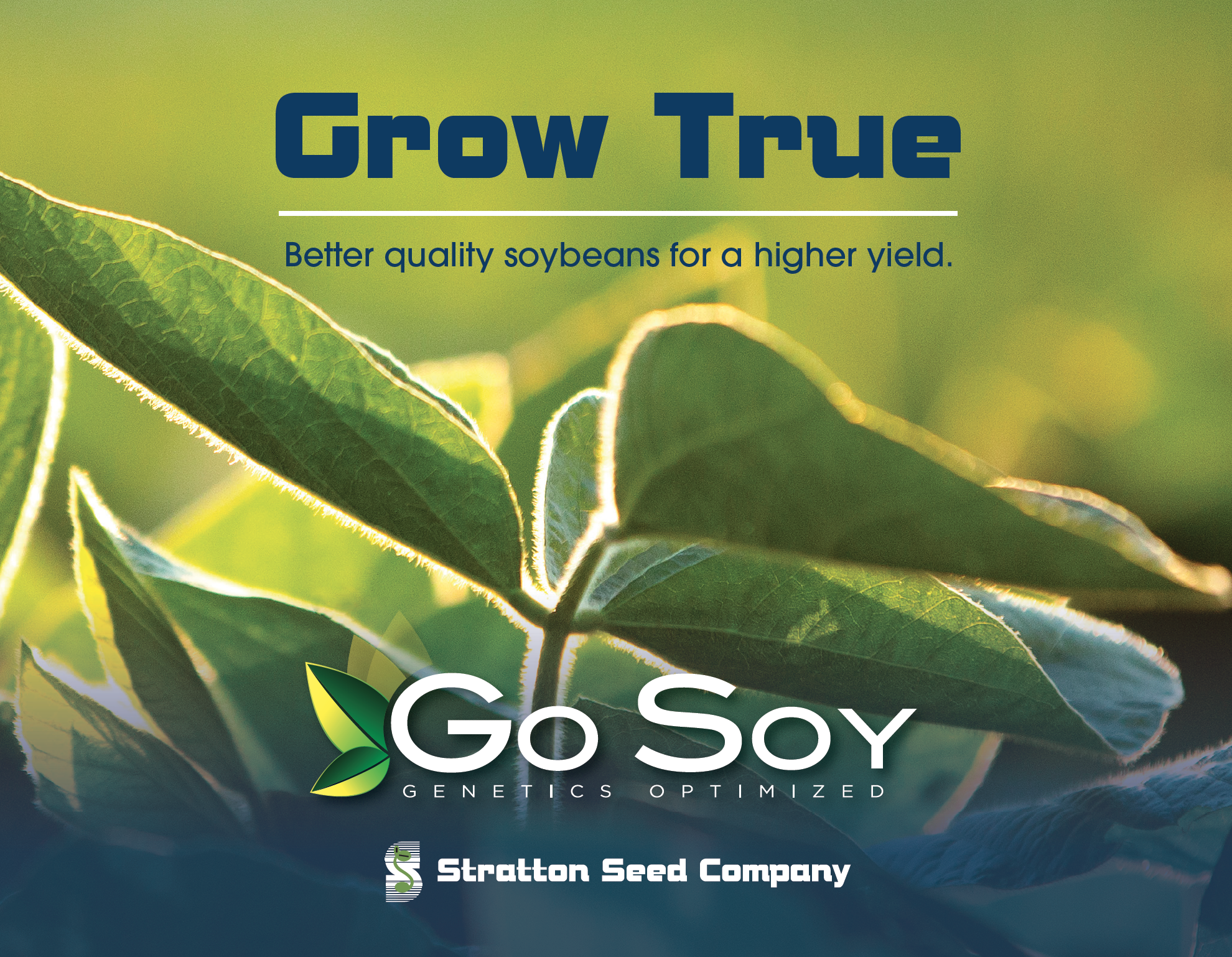 cover of brochure showing close up of soybean and GoSoy logo
