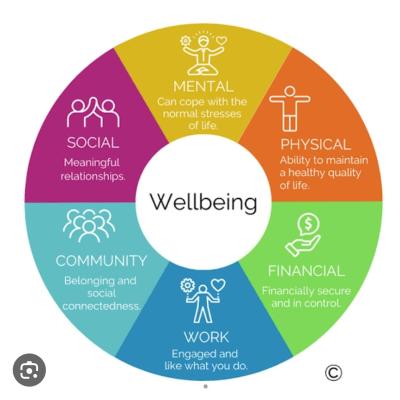 Excellence in Every Field: From Trusted Teams to Personal Wellbeing